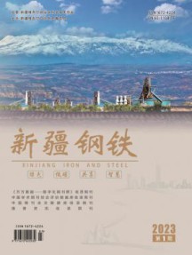新疆钢铁杂志